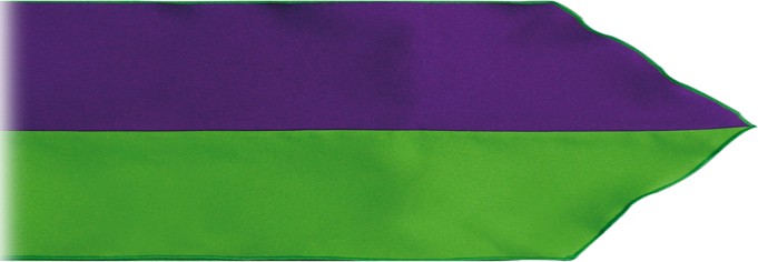 Fajín Flamenco Infantil 709 01 - Color: Green-Purple | Size: 100x10